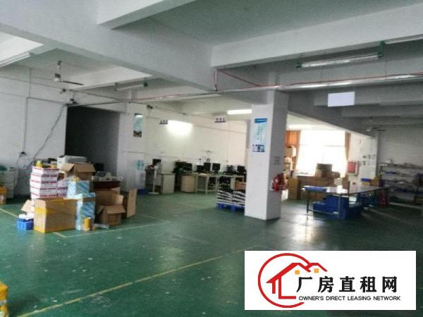 
横岗228工业区1200平米带装修厂房出租