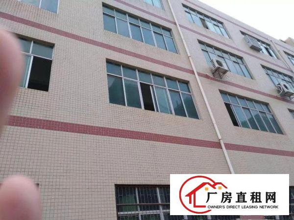 
横岗一楼厂房5007801300平米单价24元