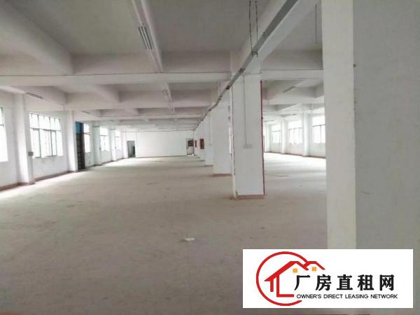 
横岗一楼厂房5007801300平米单价24元