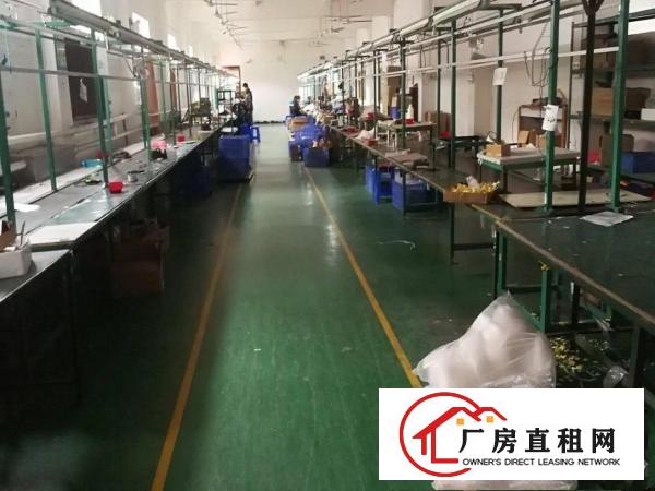 
荷坳70015003000平厂房单价19元