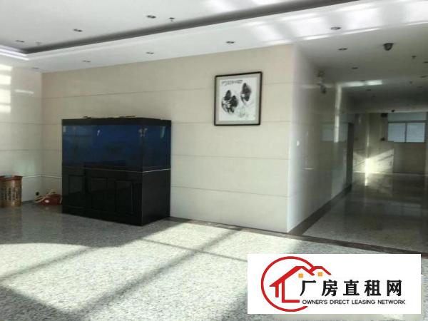 
六约一楼厂房2000平米出租带平台