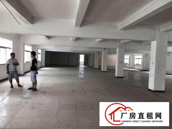 
业主独院整层3000平米厂房仓库出租
