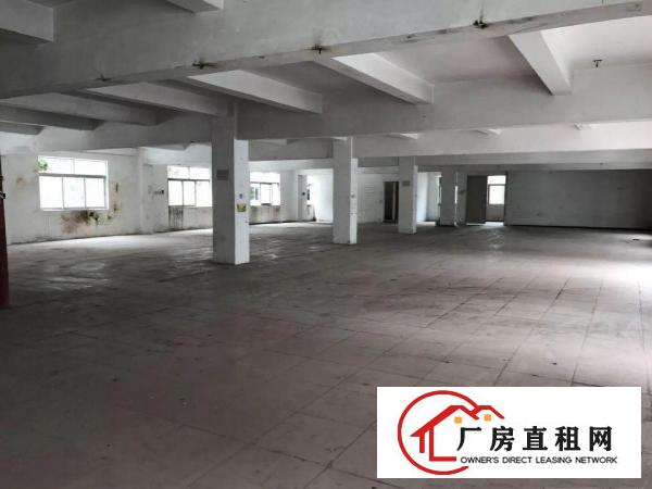 
业主独院整层3000平米厂房仓库出租