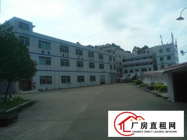 
横岗大康沙荷路原业主1楼1500平厂房出租可分租