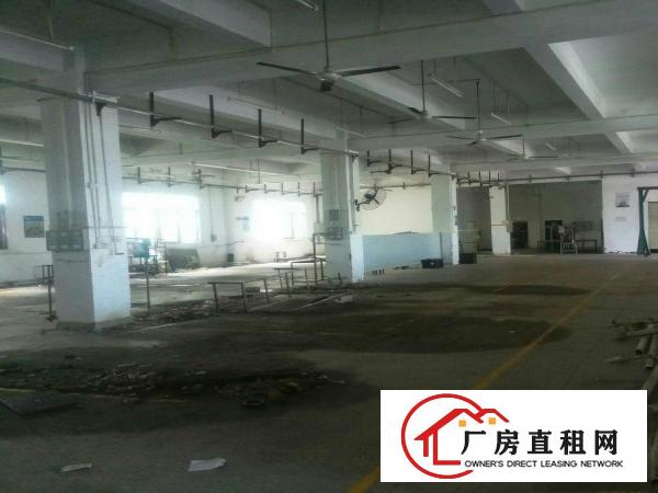 
横岗大康沙荷路原业主1楼1500平厂房出租可分租