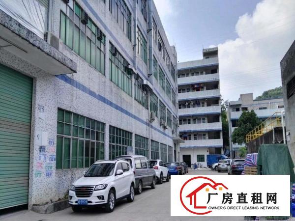 
横岗六约地铁口原房东890平精装修厂房出租