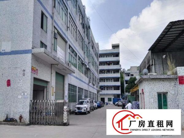 
横岗六约地铁口原房东890平精装修厂房出租