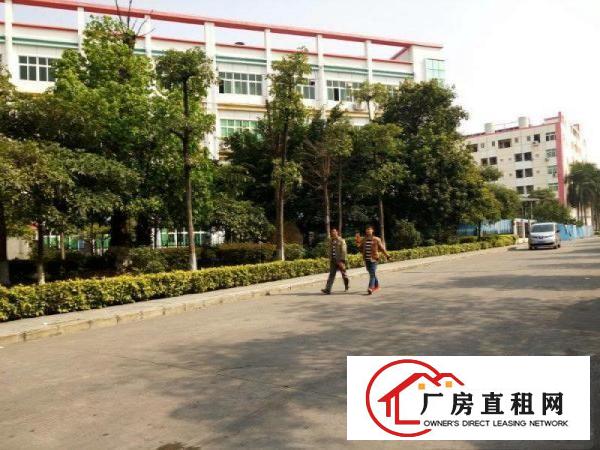 
横岗荷坳地铁口二楼精装修厂房2500