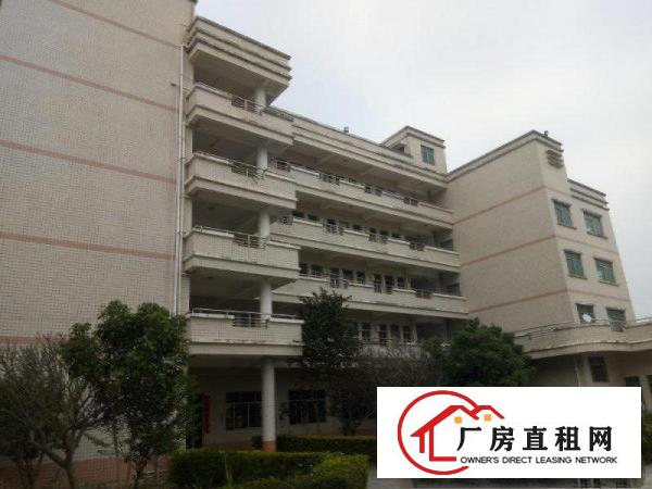 
安良标准厂房招租红本厂房1700平