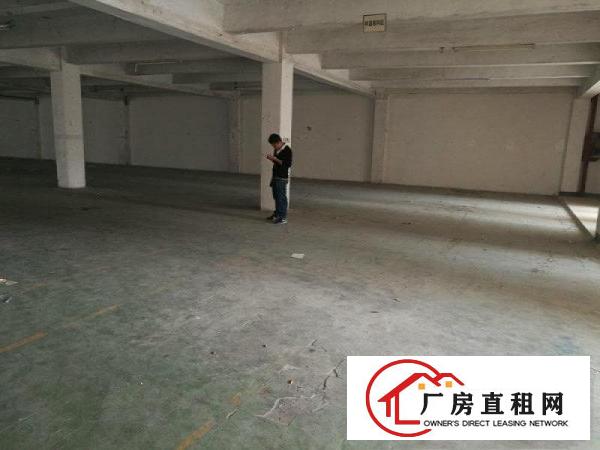 
横岗原房东三楼1200平米，面积实在没有公摊
