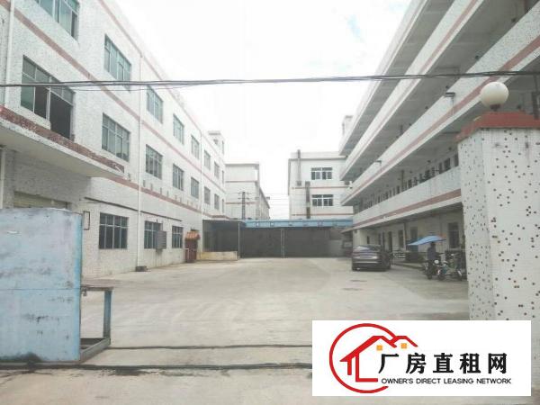 
龙岗区横岗新出3600平原房东独院标准厂房出租