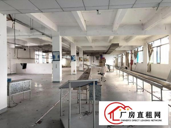 
横岗1128平米带装修厂房出租