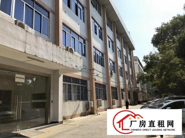
横岗1128平米带装修厂房出租