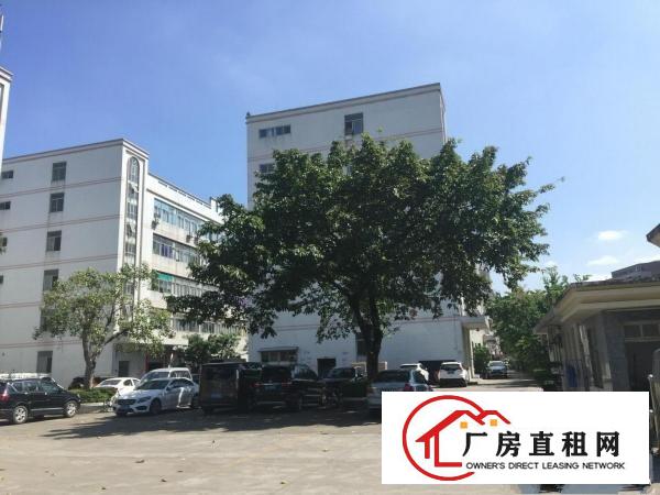 
原房东1350平米厂房出租（无公摊！）