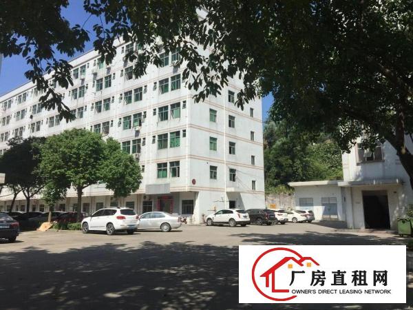 
原房东1350平米厂房出租（无公摊！）