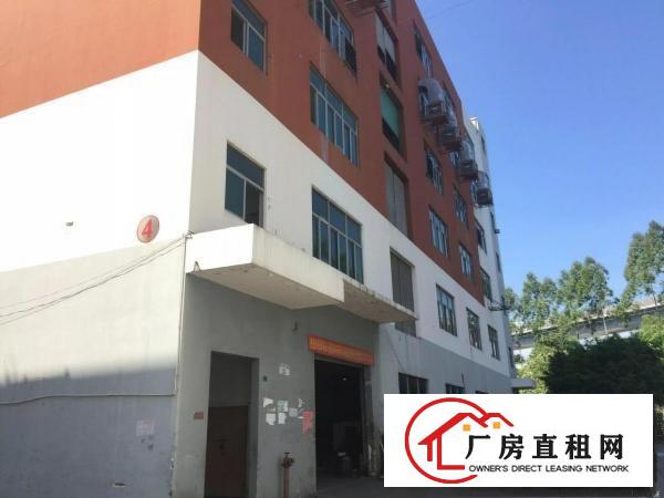 
原房东1350平米厂房出租（无公摊！）