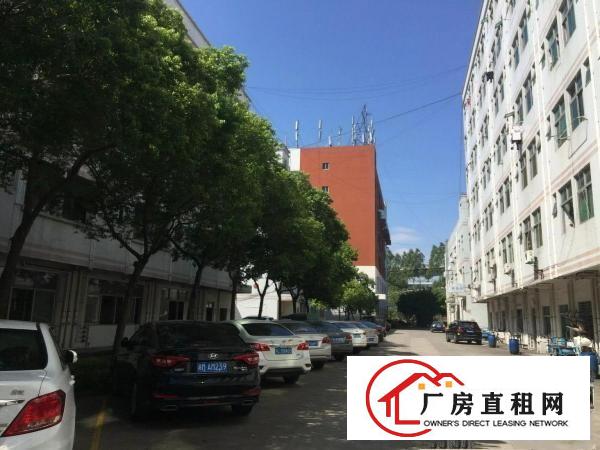 
原房东1350平米厂房出租（无公摊！）