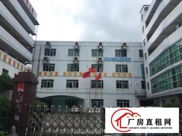 
横岗安良1180平米厂房出租（免中介）