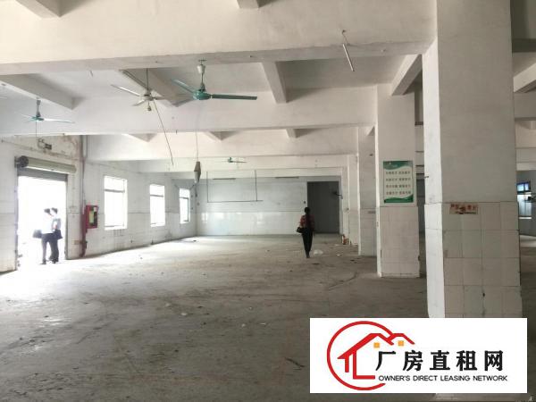 
六约独院厂房4580平米出租
