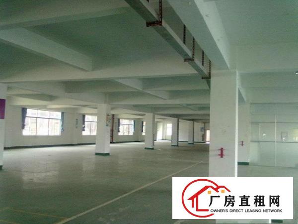 
横岗228工业区2000平米厂房仓库出租