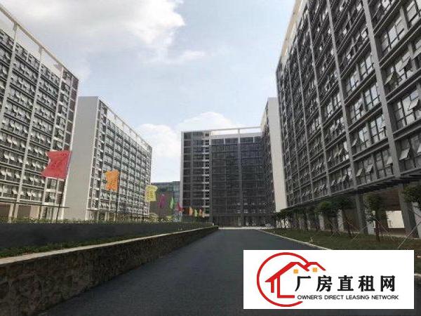 
龙岗红本豪华装修电子厂房3100平米带消防喷淋出租