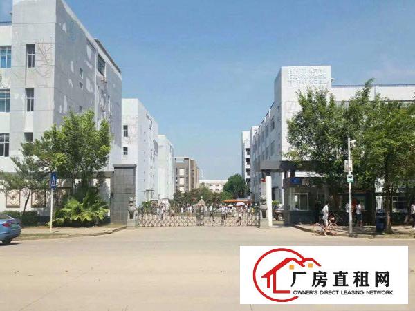 
龙岗红本豪华装修电子厂房3100平米带消防喷淋出租