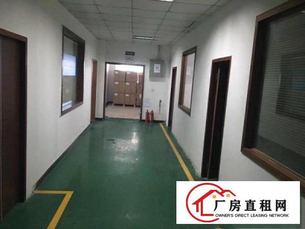 
龙岗红本豪华装修电子厂房3100平米带消防喷淋出租