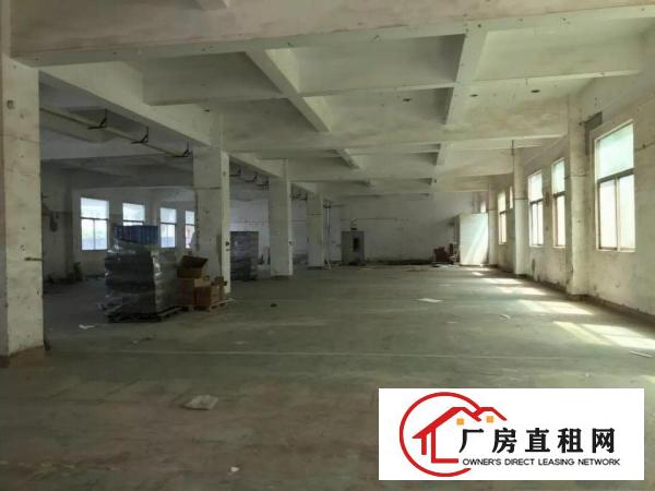
横岗高新厂房4800平米出租每层1600平米