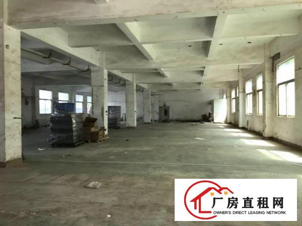 
横岗高新厂房4800平米出租每层1600平米