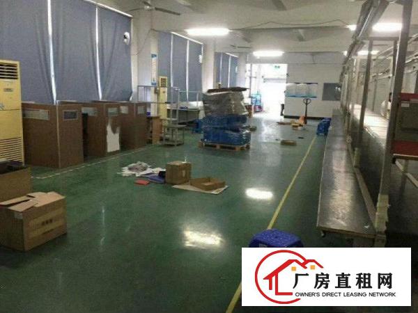 
龙岗横岗西坑原房东独院带装修1300平米厂房出租