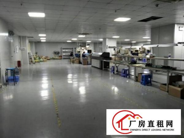 
横岗228工业区原房东带装修1550平米厂房出租