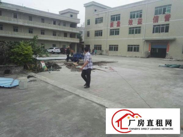 
横岗简龙新出一楼标准厂房3000平方招商（可分租）