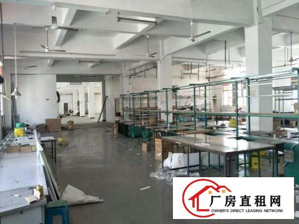 
横岗简龙新出一楼标准厂房3000平方招商（可分租）
