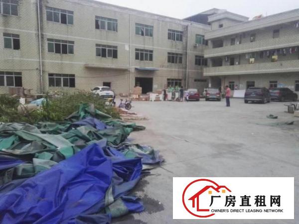 
横岗简龙新出一楼标准厂房3000平方招商（可分租）