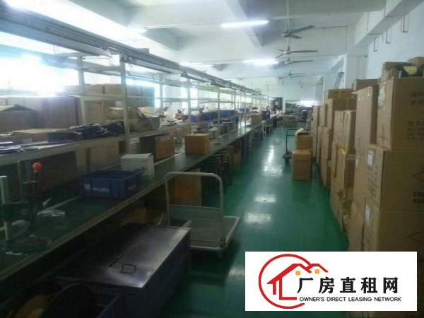 
六约地铁口新出精装修电子厂房800平(可拎包入住)
