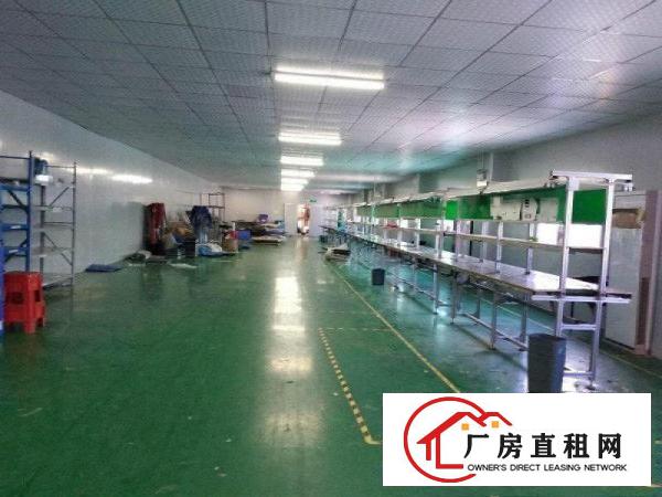 
横岗大康横坪公路大型工业区楼上精装1250平