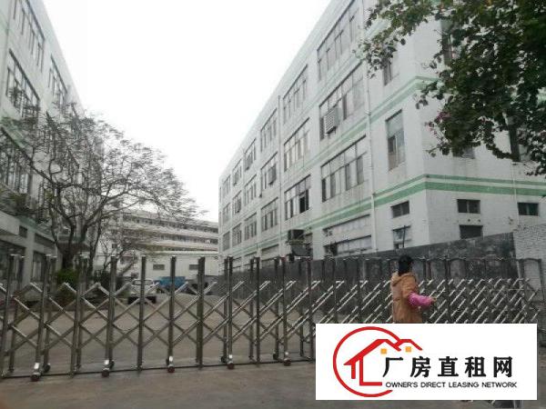 
横岗大康横坪快线原房东精装修1400平楼上厂房