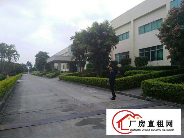 
龙岗1000平方现成单一层厂房招租