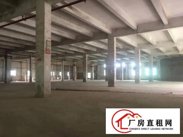 
龙岗横岗新出经典独院一楼3000平出租高5.2米