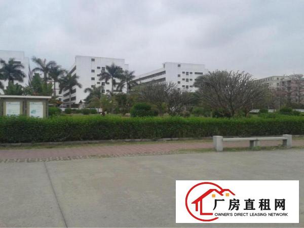 
横岗力嘉工业园独院厂房1300平出租可分租