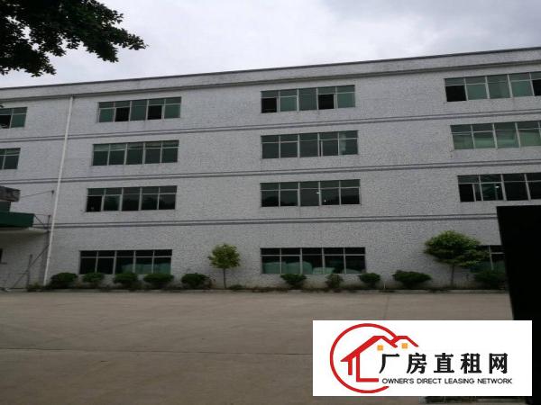 
横岗安良村委实际面积厂房出租。