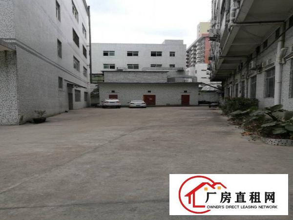 
横岗安良村委实际面积厂房出租。