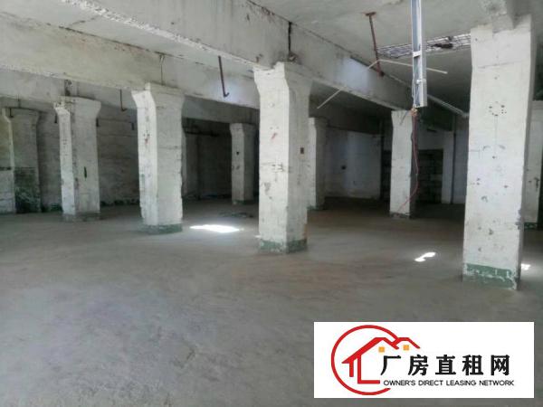 
横岗大康路口单一层标准厂房出租可做污染行业