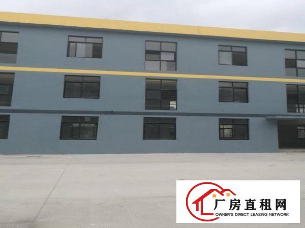 
横岗高档电商产业园出租