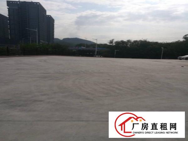 
横岗高档电商产业园出租