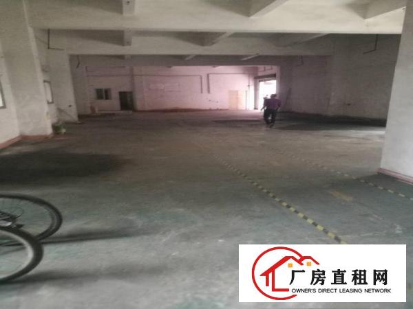 
横岗安良新出680平方一楼租金22元