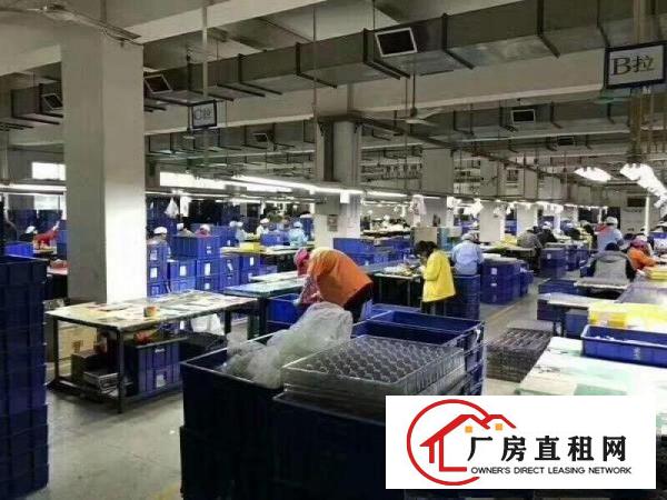 
横岗大康三楼整层1000平厂房招租15元/平