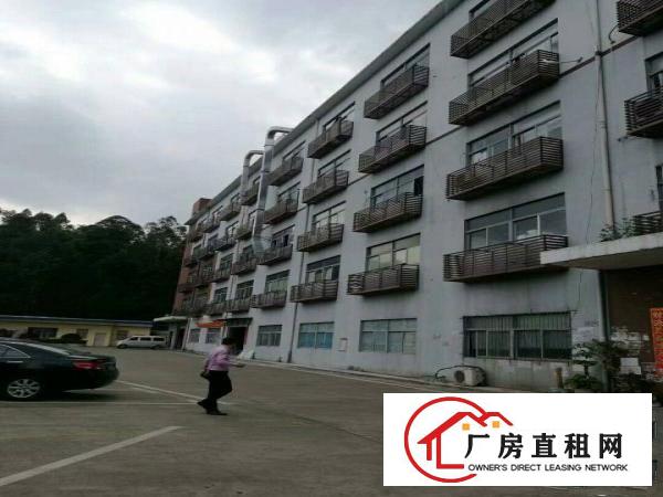 
横岗228工业区三楼精装修700平方出租价格19