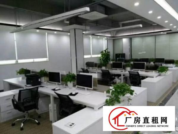 
厂房出租横岗荷坳地铁楼上精装修红本2500平