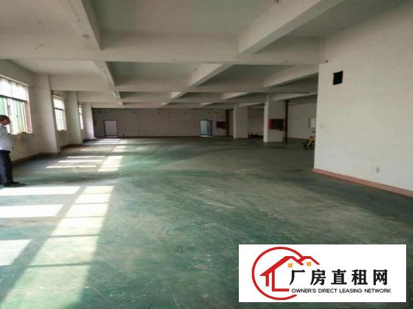 
厂房出租横岗四联大工业区楼上450平隔好办公室